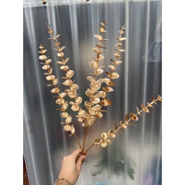 Cành táo vàng - rẻ quạt vàng