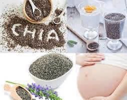 HẠT CHIA BIO SAMEN ĐỨC