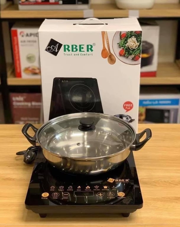 Bếp Điện Tử Cảm Ứng Arber AB301