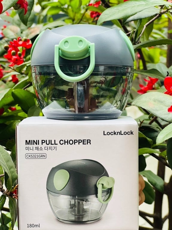 Máy xay tỏi ớt cầm tay mini  Lock&Lock