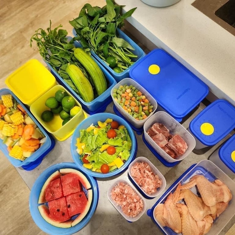 Bộ Trữ Mát Tupperware Modern Fridge Set 8