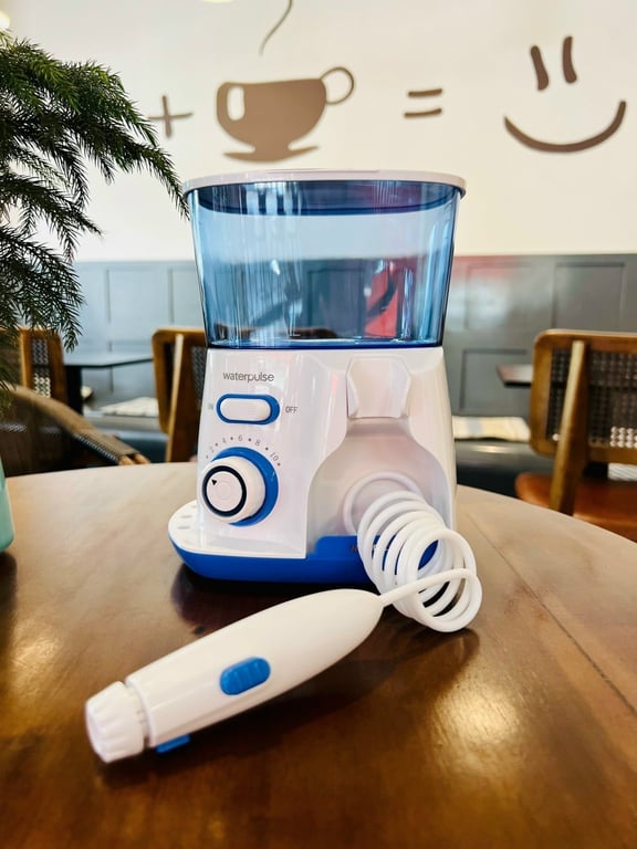 TĂM NƯỚC WATERPULSE V300