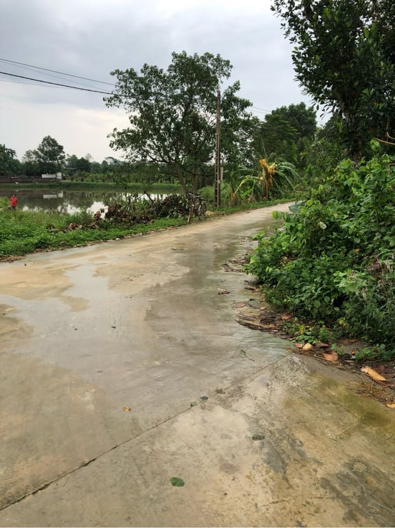 Đất Thanh Cao, Lương Sơn, Hoà Bình 154m2 full thổ cư.