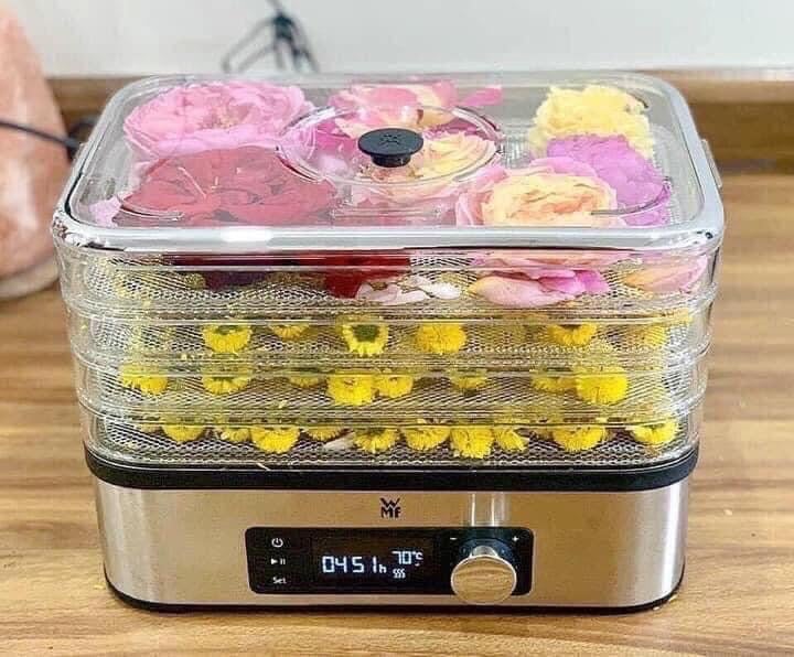 Máy Sấy Thực Phẩm Wmf Kuchenminis Dorrautomat