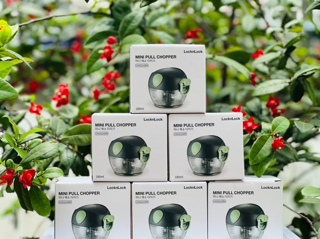 Máy xay tỏi ớt cầm tay mini  Lock&Lock