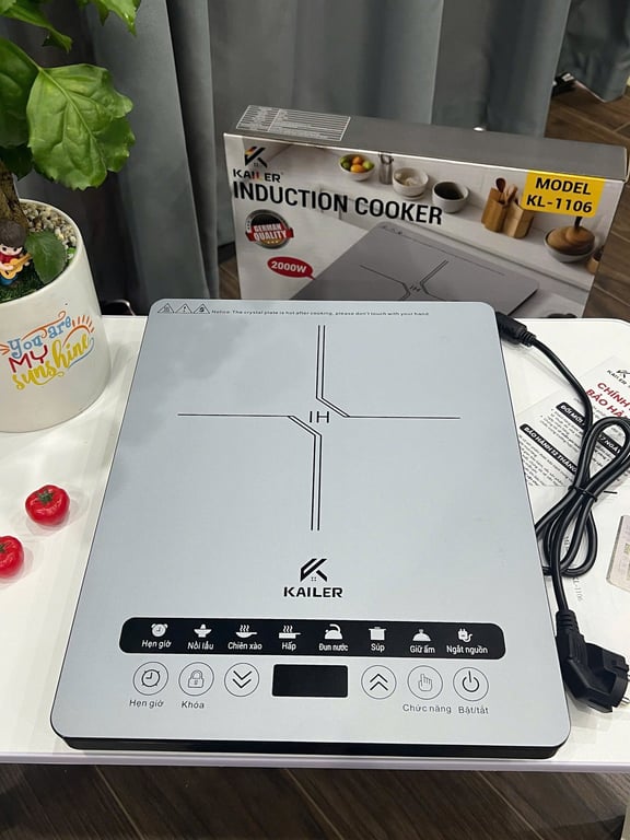 BẾP TỪ CAO CẤP KAILER KL-1106