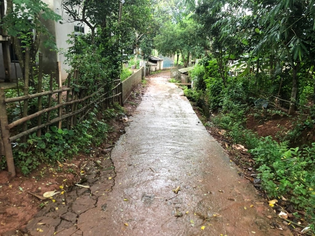 250m2 tại Chợ Lồ, xã Phong Phú, Tân Lạc, Hoà Bình