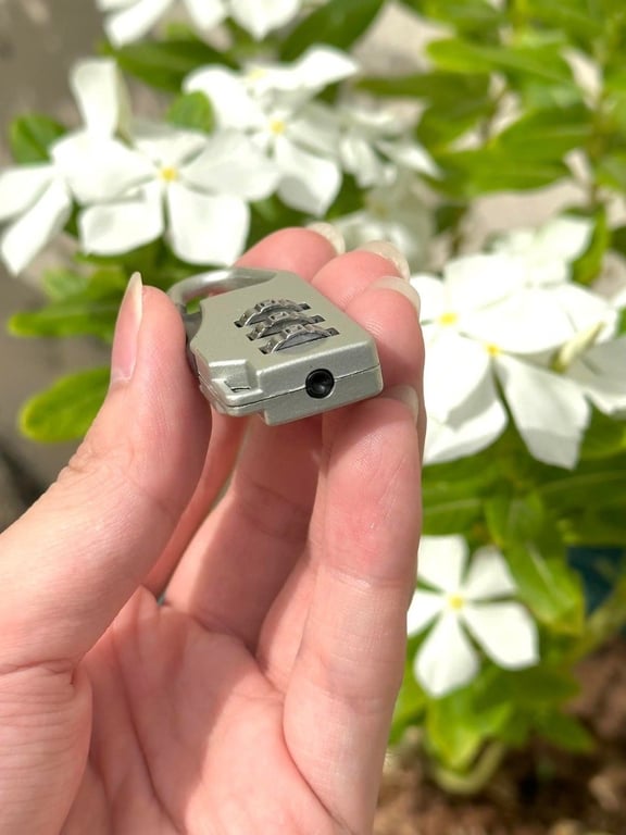 Khóa số Vali Dial Lock Nhật Bản