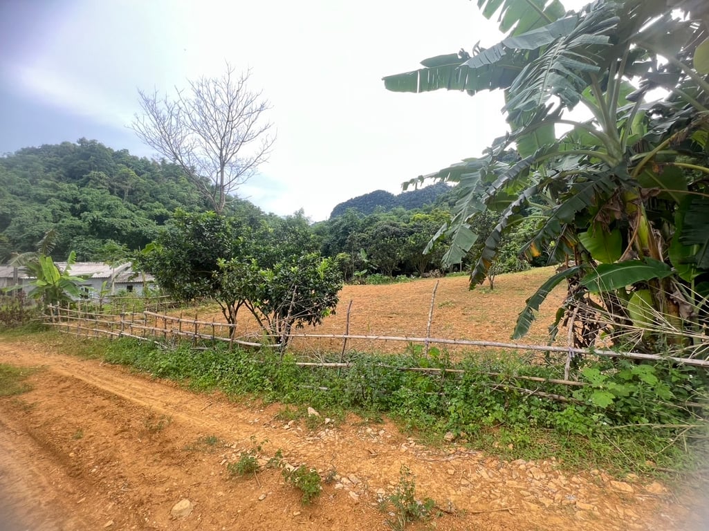 1500m2-200m2 ONT tại Phú Cường, Tân Lạc, Hoà Bình