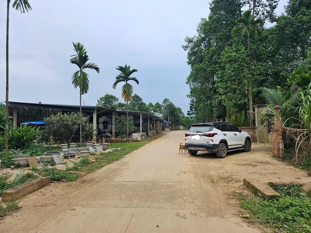 424m2 tại 111m2 ONT Tại Phú Lương, Lạc Sơn, Hoà Bình