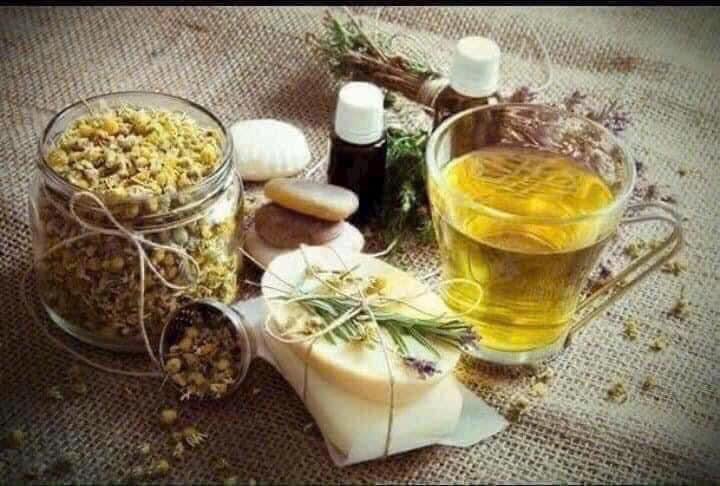 TRÀ CÚC HỮU CƠ NGUYÊN BÔNG DM BIO SẢN XUẤT TẠI ĐỨC