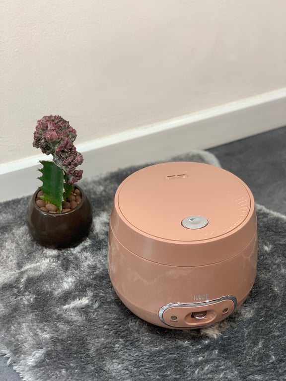 NỒI CƠM ĐIỆN MINI LEBENLANG 0.8L và 1.2L