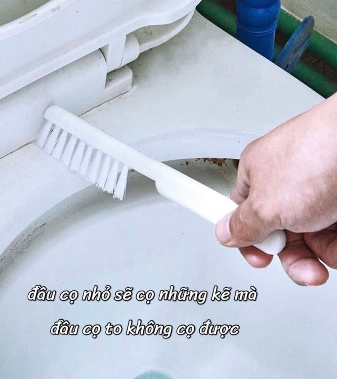 SET CỌ VỆ SINH 3 IN 1