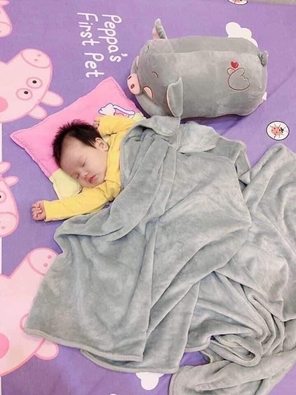 BỘ GỐI LỢN KÈM CHĂN SIÊU MỀM MỊN TO ĐẸP DỄ THƯƠNG