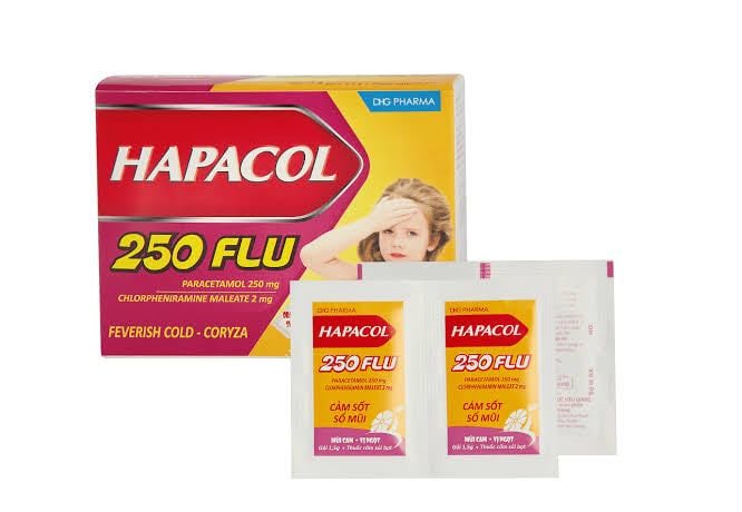 Hapacol  250 flu HẬU GIANG  h/24 gói