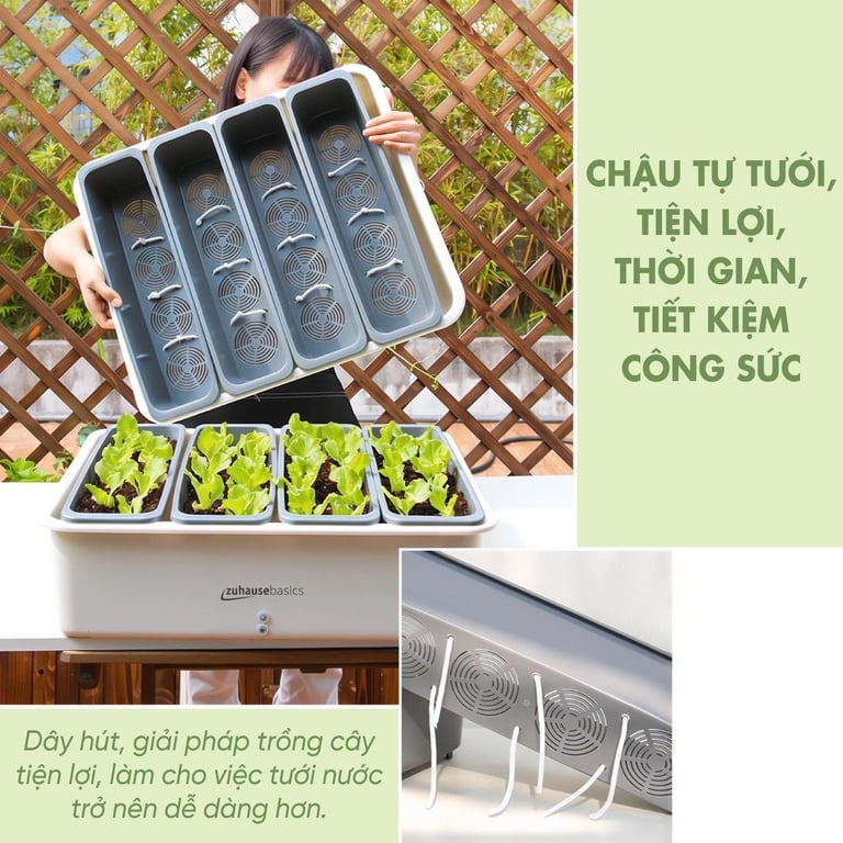 Chậu Trồng Cây Thông Minh 4 ngăn