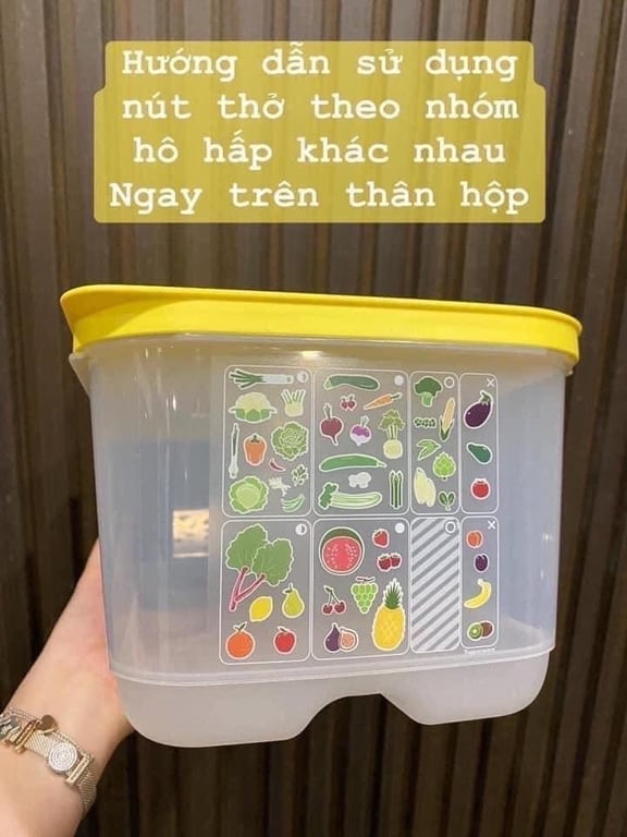 Hộp vensmart tupper 6.5L