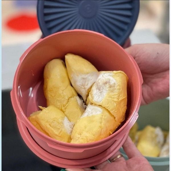 Set 5 HỘP MINI DECO TUPPERWARE 1L