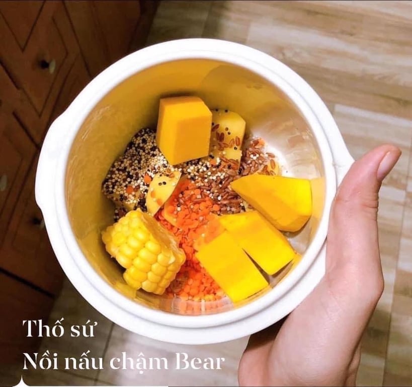 NỒI NẤU CHẬM 0.8L BEAR