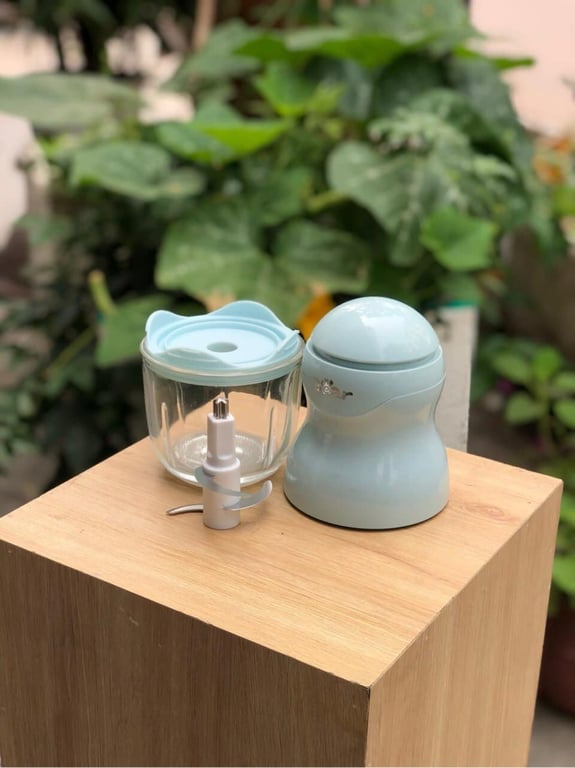 Máy xay ăn dặm 0.3L Bear GR-B03V2