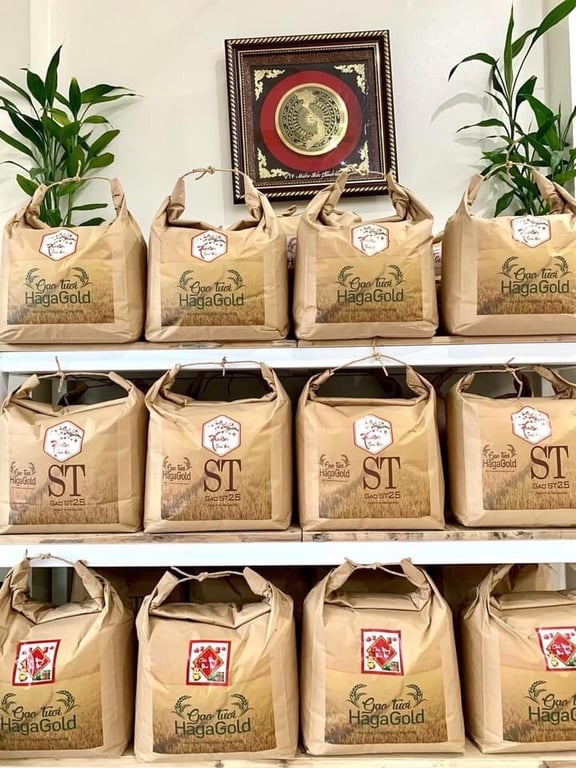 Gạo bắc hương hagagol túi 10kg