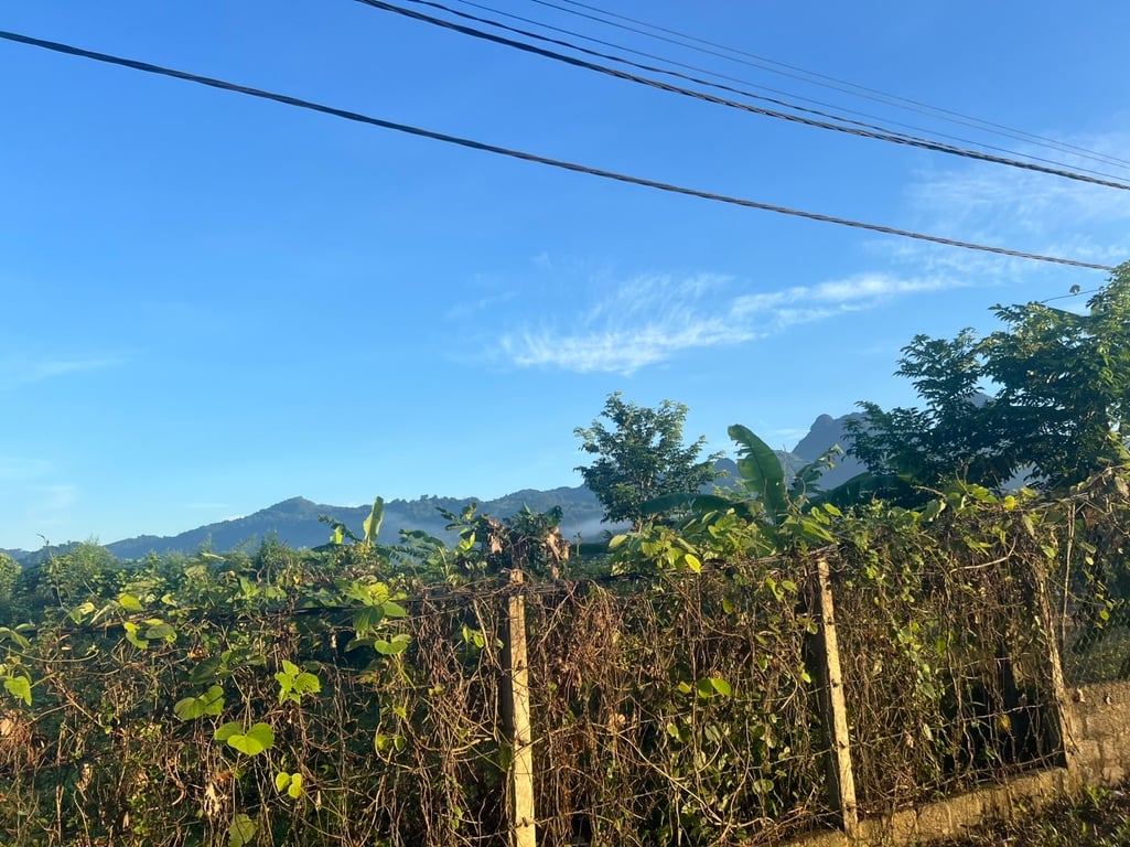 2020m2 có 100m2 tại Bắc Phong, Cao Phong, Hoà Bình