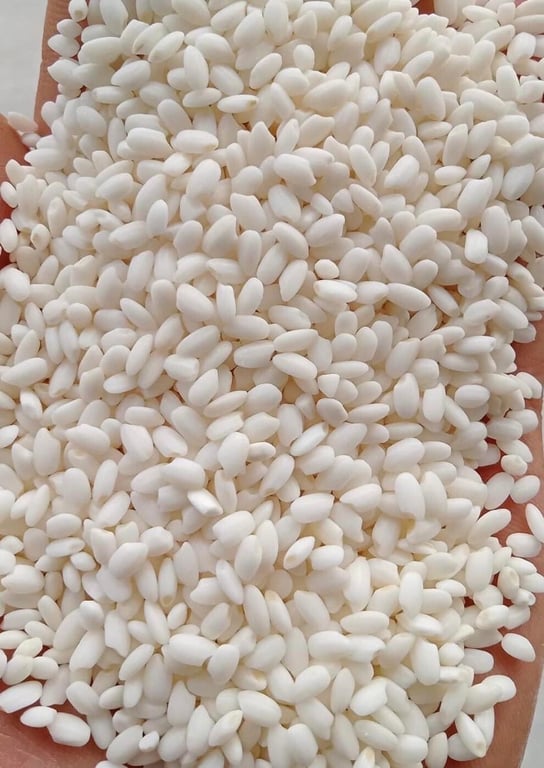 gạo nếp cau