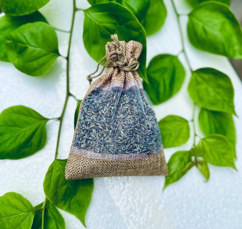 NỤ HOA LAVENDER PHÁP thơm ngào ngạt