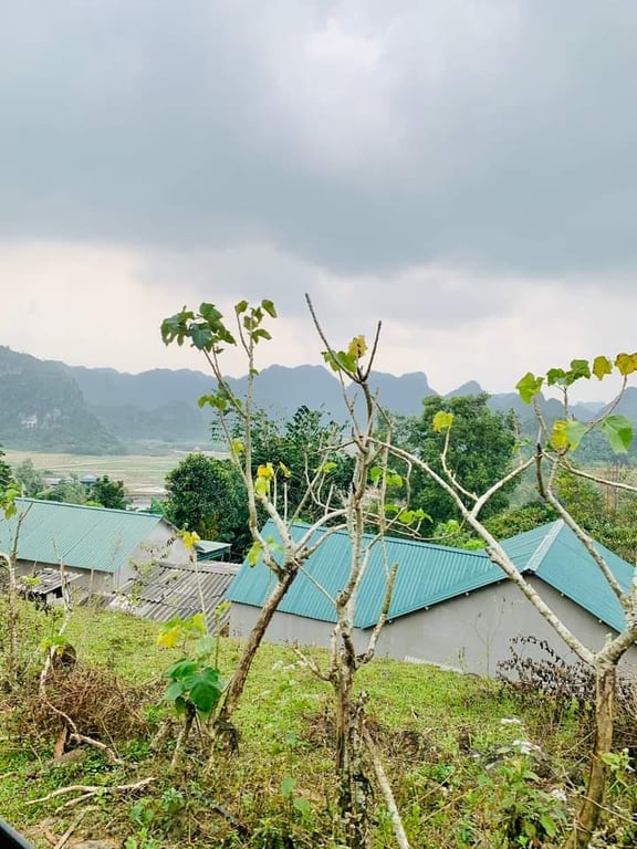 Lạc Lương, Yên Thủy,Hòa Bình (2000m2,1000m2TC)