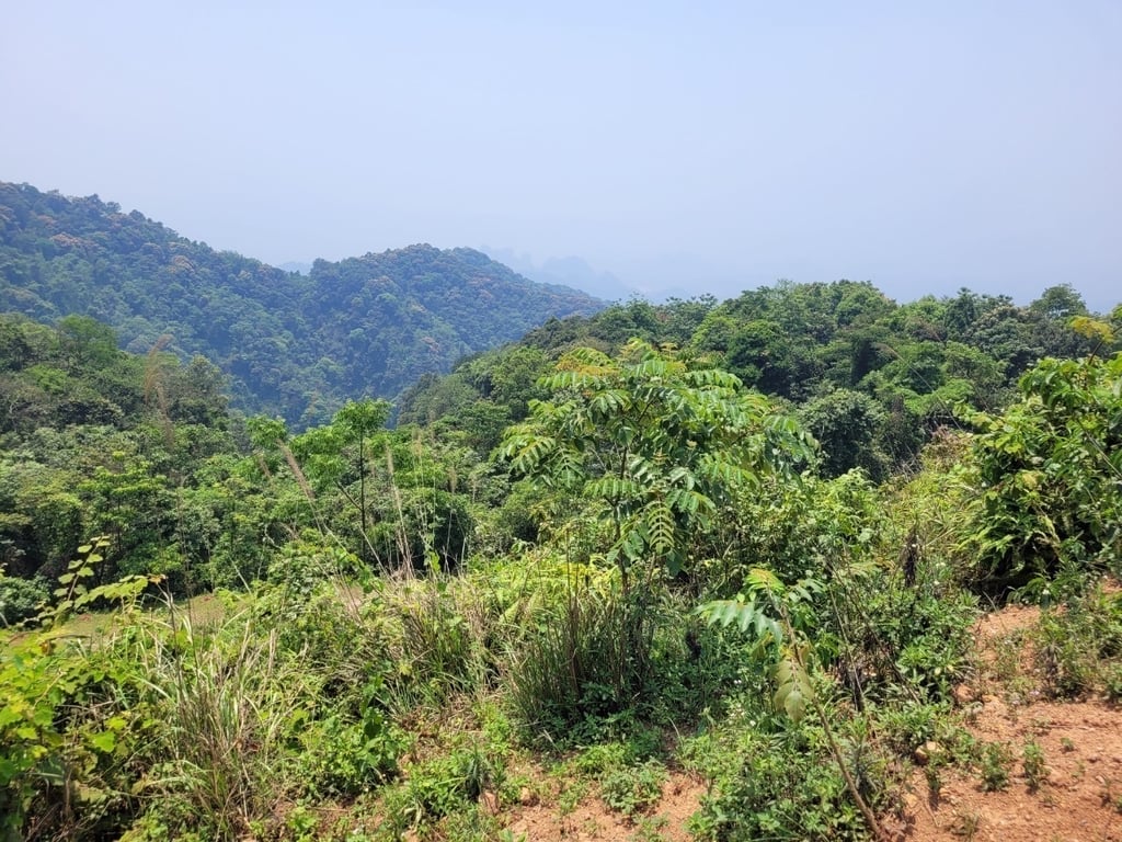 xóm Mừng, Cao Phong, Hòa Bình (2500m2)