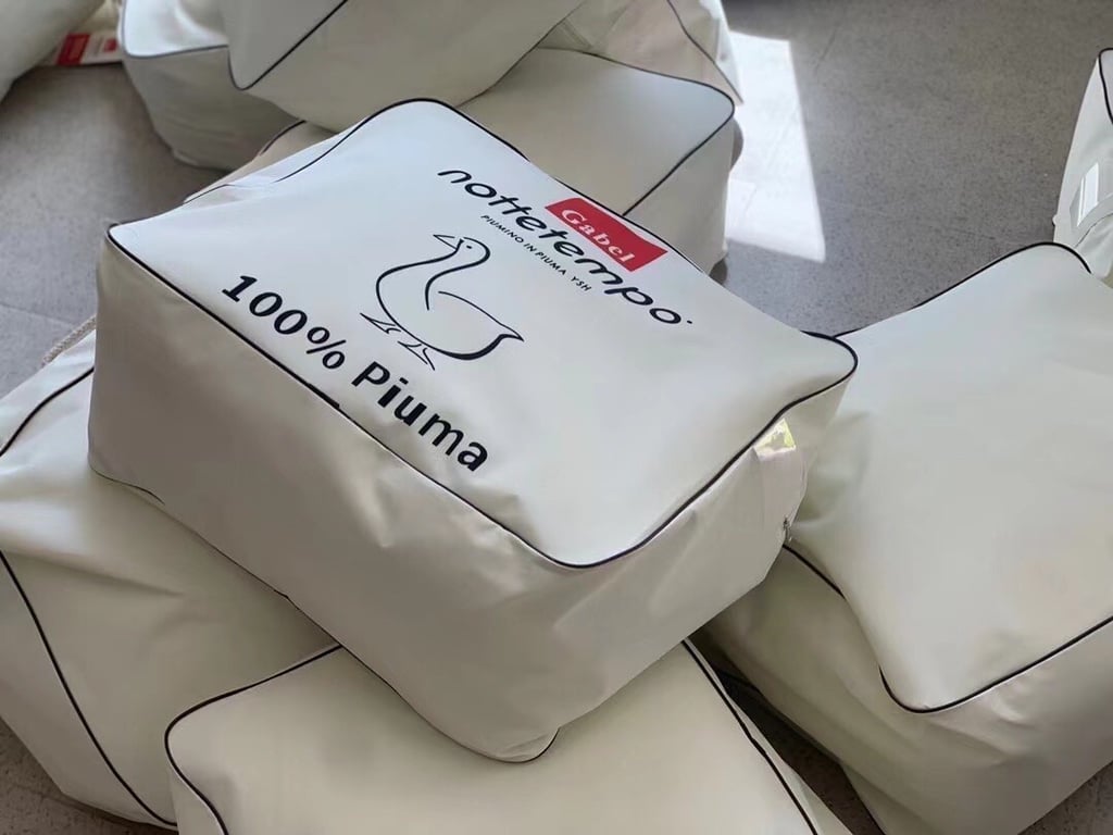 Chăn lông ngỗng xịn hàng xuất Italia 2m x 2.3m CHT10, nặng 3,5kg