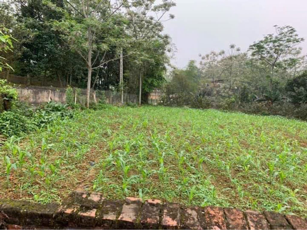 720m2, có 100m2 đất ở, 2 mặt tiền dài 4 mặt thoáng đẹp tại Ba Vì, Hà Nội