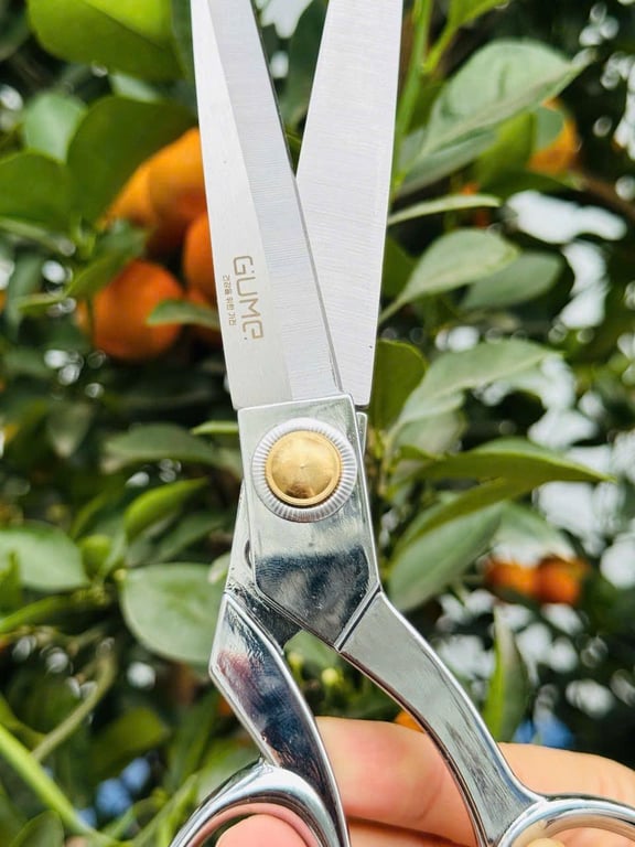 KÉO CẮT ĐA NĂNG GUME GMK26