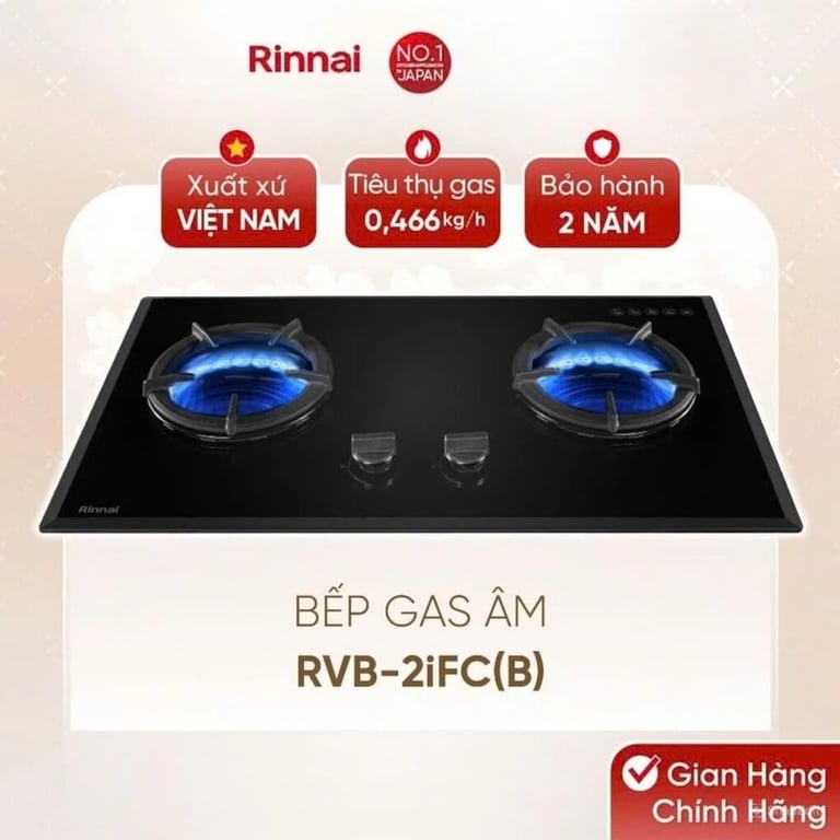 BẾP GAS ÂM RINNAI RVB-2IFC(B)