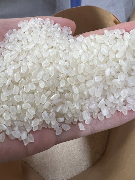 Gạo Nhật- gạo tươi hagagol túi 10kg