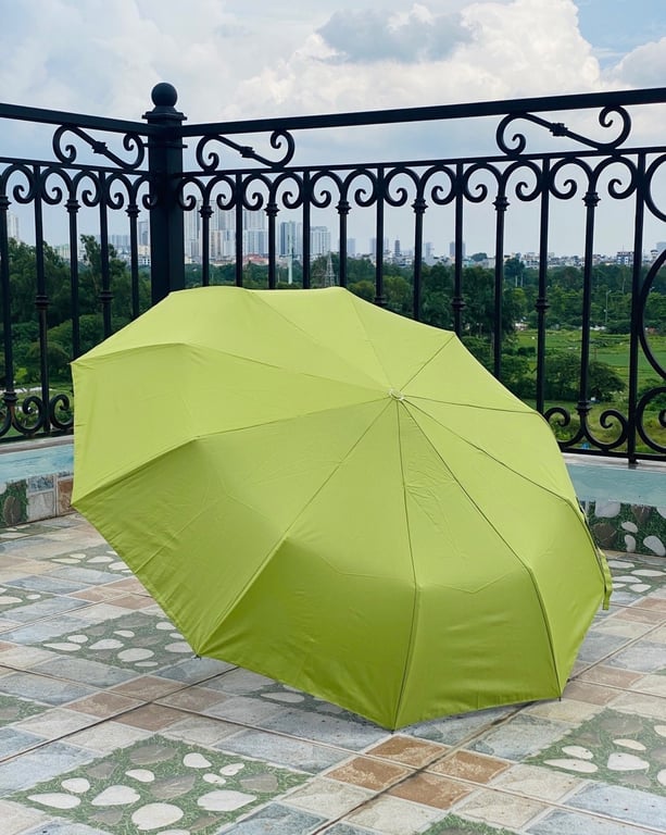 Em về được Ô tự động gập gọn