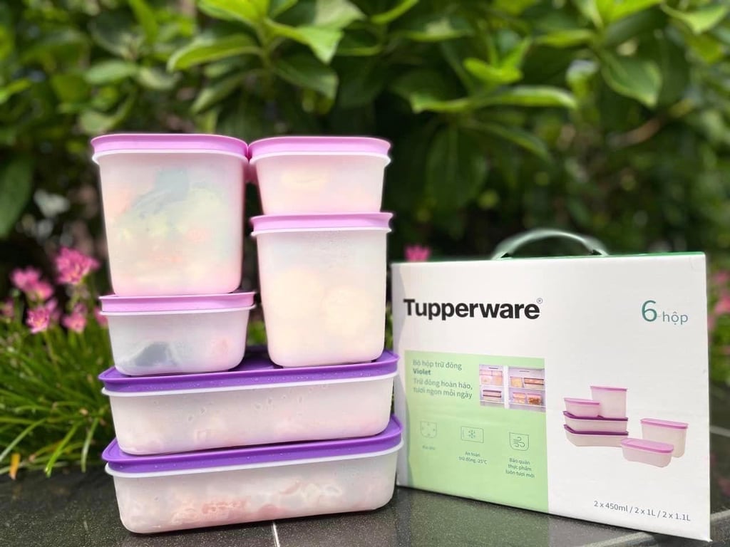 Set Đông tupper #VIOLET