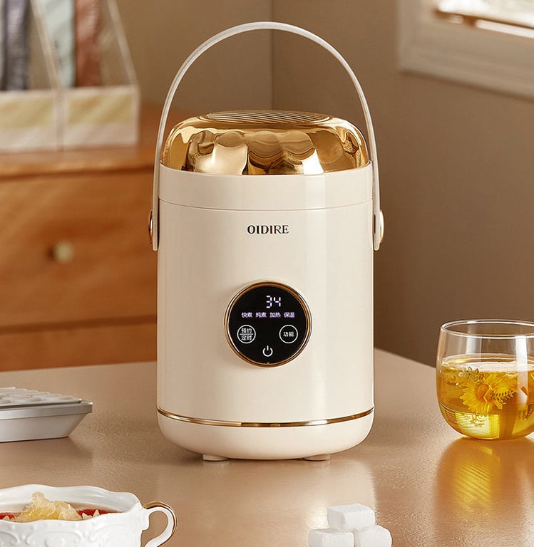 NỒI ĐIỆN ĐA NĂNG MINI OIDIRE DRB03 0.6L