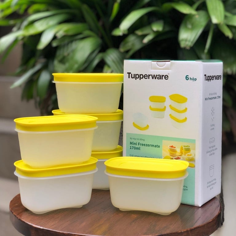 Set 6 Hộp trữ đông mini 170ml tupperware