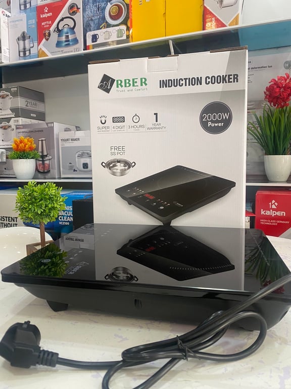 BẾP TỪ ĐƠN ARBER AB301A