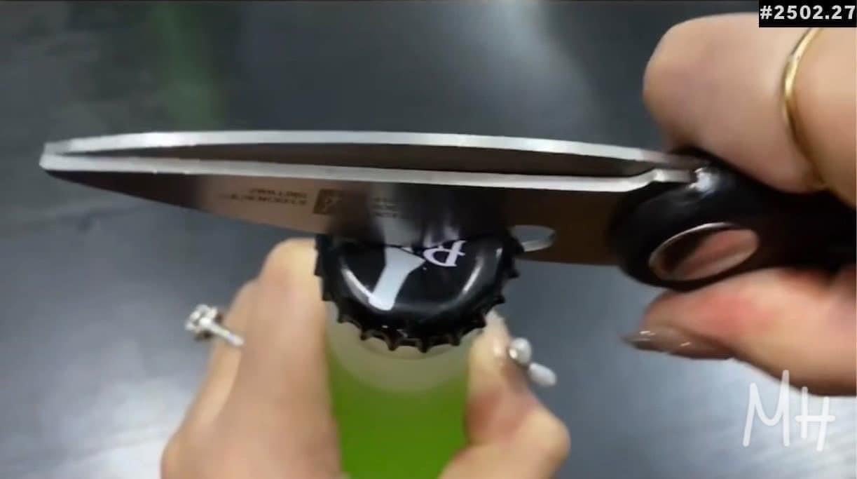 🇩🇪 KÉO NHÀ BẾP ZWILlING TWIN L