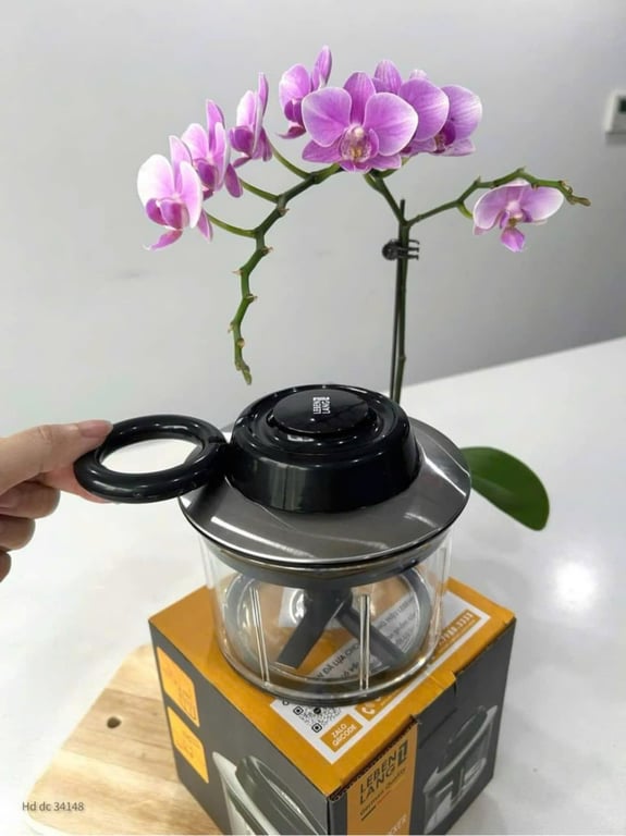 Dụng Cụ Xay Nhỏ Thực Phẩm Lebenlang 800ml