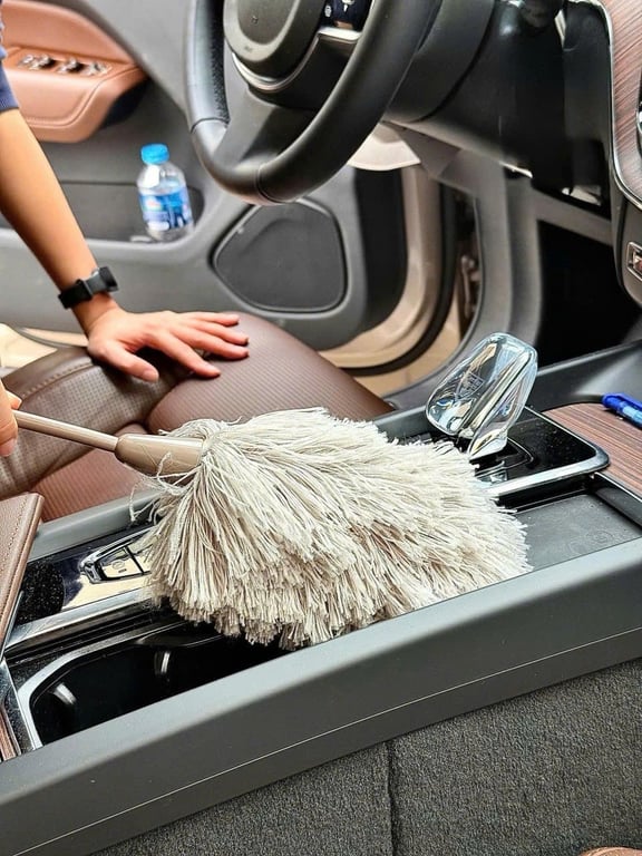 CHỔI PHỦI BỤI ĐA NĂNG