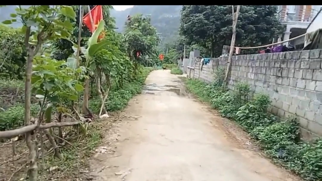 400m2, full thổ cư tặng nhà tại Lạc Lương, Yên Thuỷ, Hoà Bình