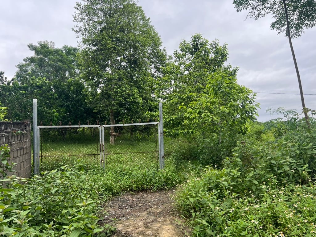 Ngọc Mỹ, Tân Lạc, Hòa Bình (8679m2)