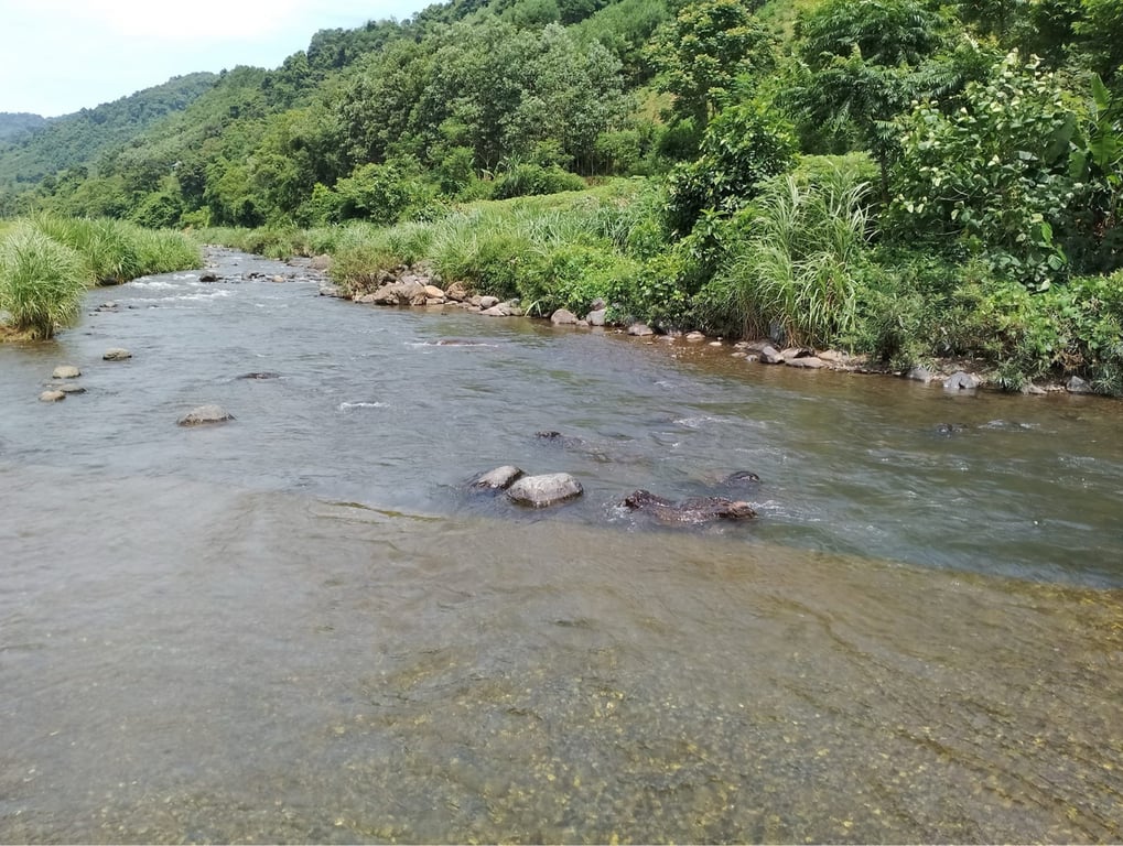 13.950m2 đất RSX view đẹp tại Hợp Tiến, Kim Bôi, Hoà Bình chỉ 4xx triệu