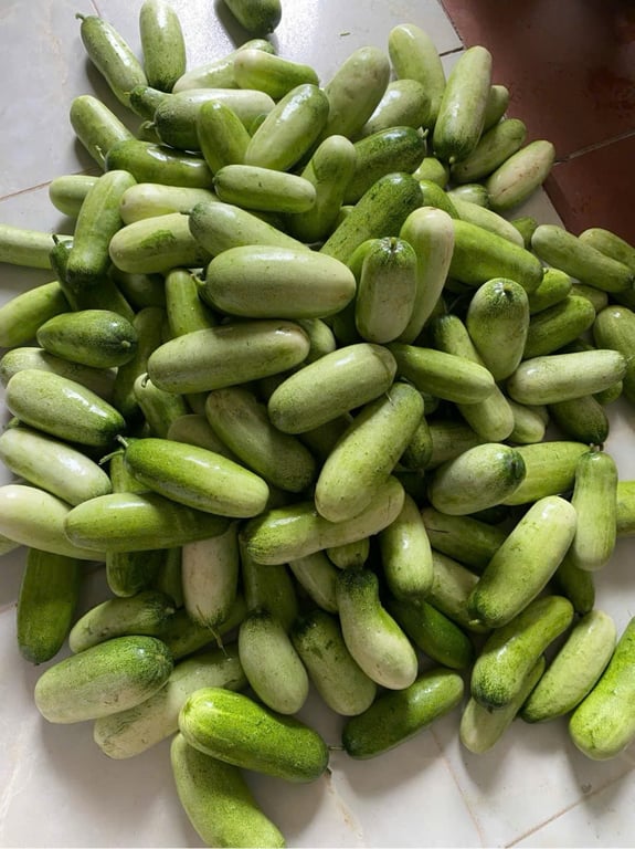 Dưa mèo Điện Biên  2kg