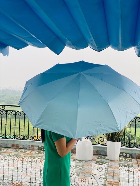 Em về được Ô tự động gập gọn