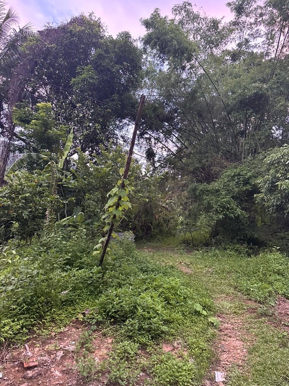 1000m2 -300m2 ONT tại Mai Châu, Hoà Bình