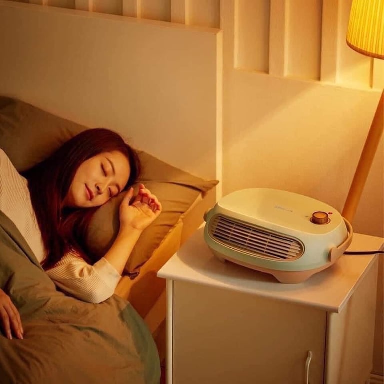 Máy sưởi đa năng Bear ☀